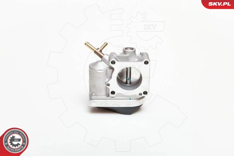 Throttle Body 12SKV028