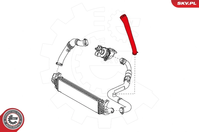 Charge Air Hose 24SKV907