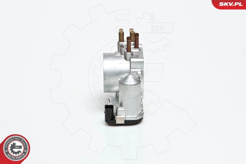 ESEN SKV 12SKV012 Throttle Body
