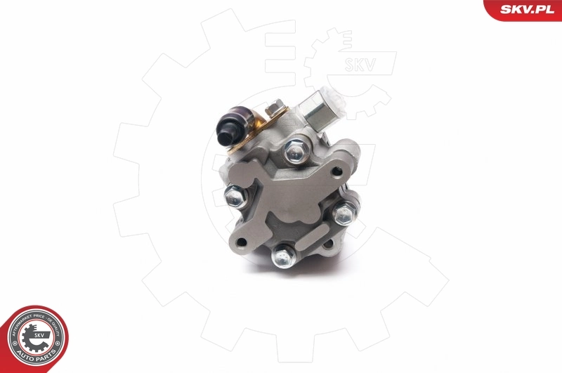 Hydraulic Pump, steering 10SKV227