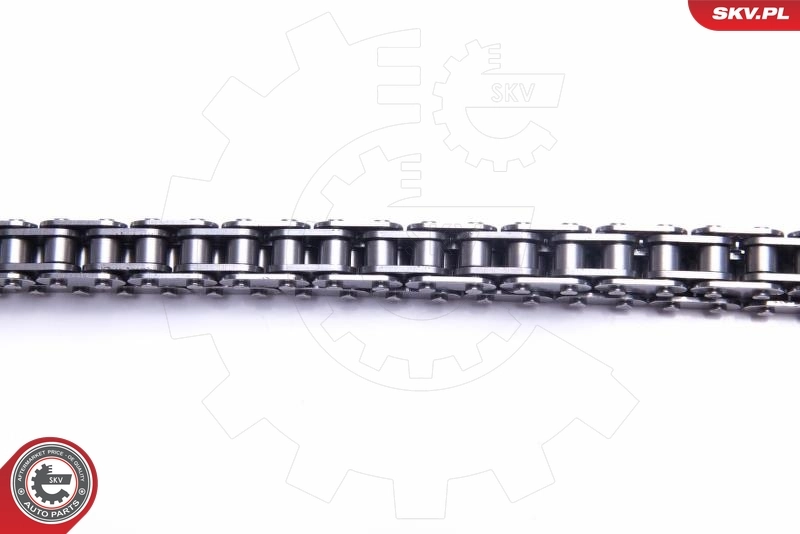 Timing Chain Kit 21SKV185
