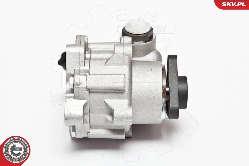 Hydraulic Pump, steering 10SKV072