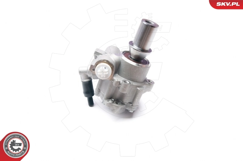 Hydraulic Pump, steering 10SKV217