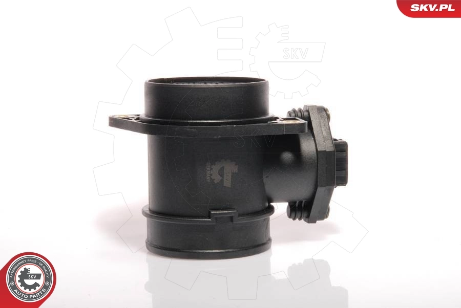 Mass Air Flow Sensor 07SKV009
