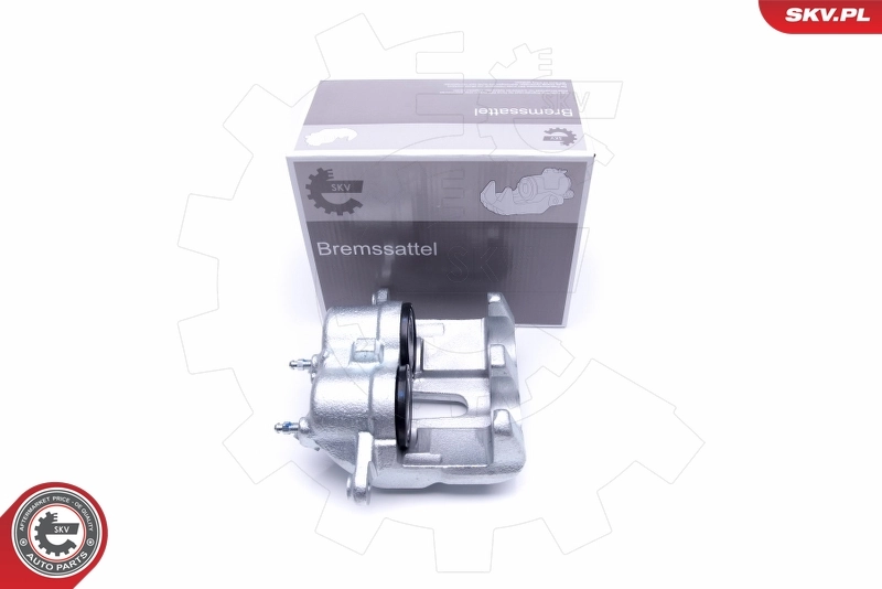 Brake Caliper 50SKV251