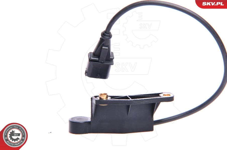 Sensor, camshaft position 17SKV211