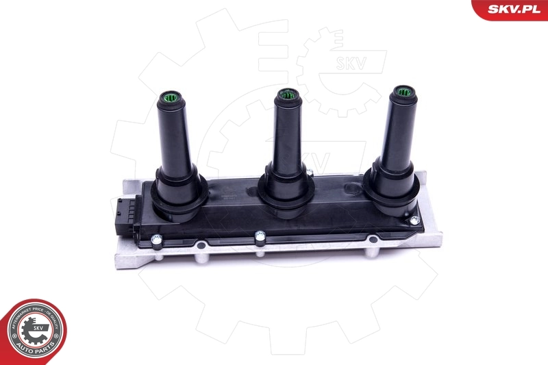 Ignition Coil 03SKV273