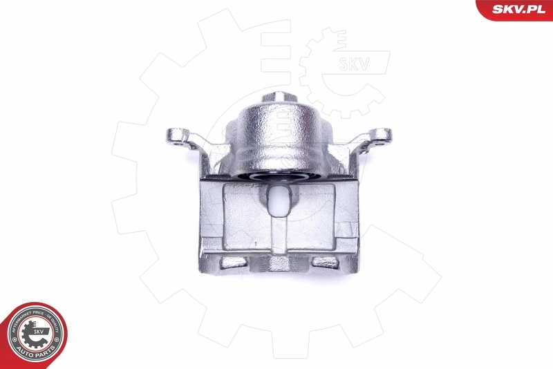 Brake Caliper 45SKV012