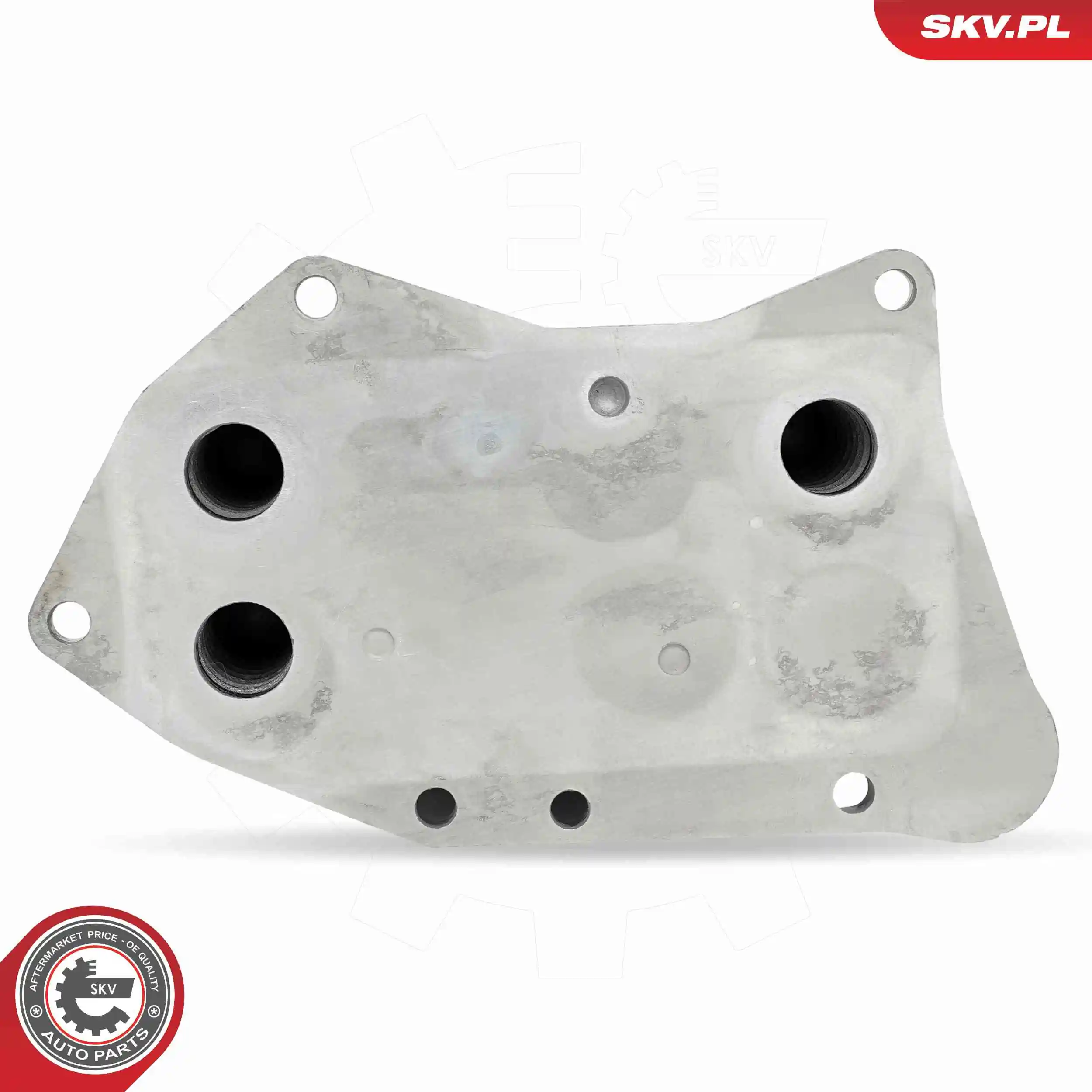 Oil Cooler, engine oil 31SKV313