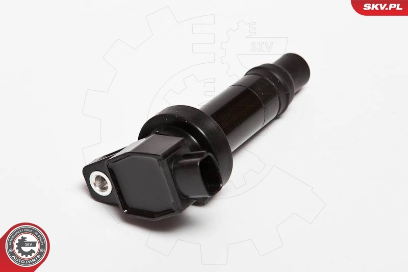 Ignition Coil 03SKV202