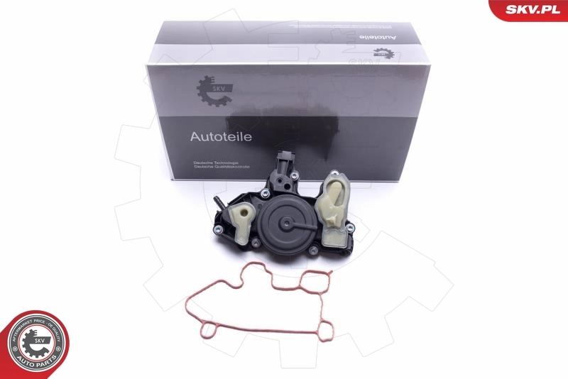 Oil Cooler, engine oil 31SKV175