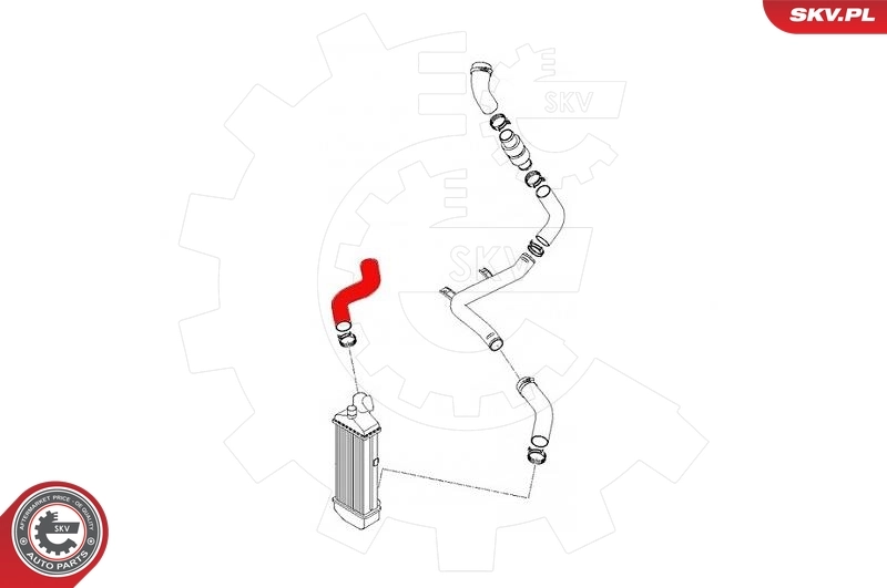Charge Air Hose 43SKV244