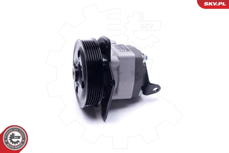 Hydraulic Pump, steering 10SKV294