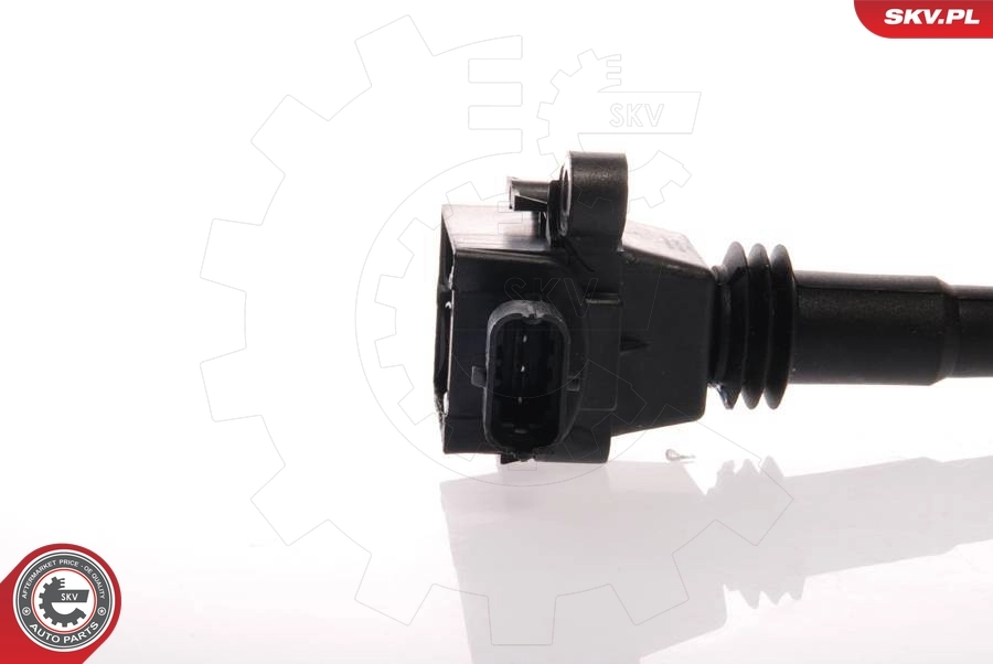 Ignition Coil 03SKV011