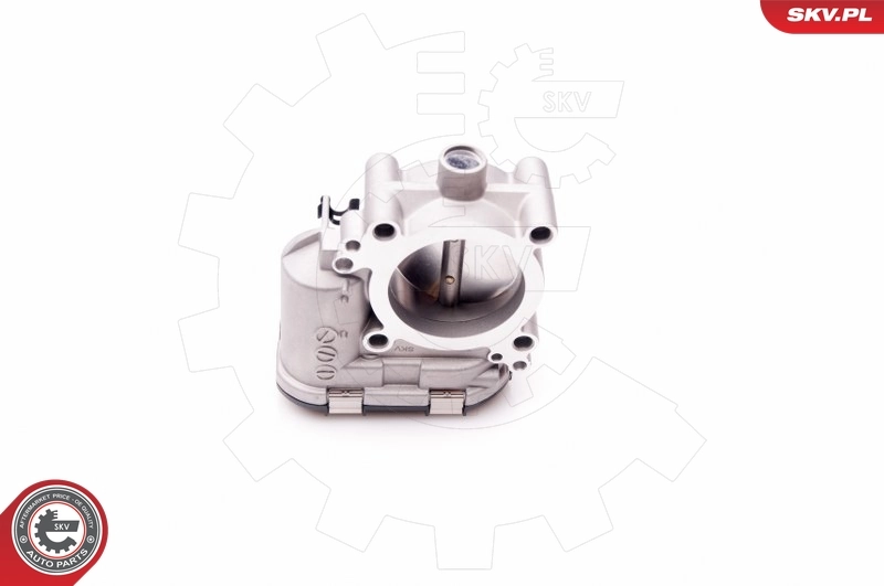 Throttle Body 12SKV067