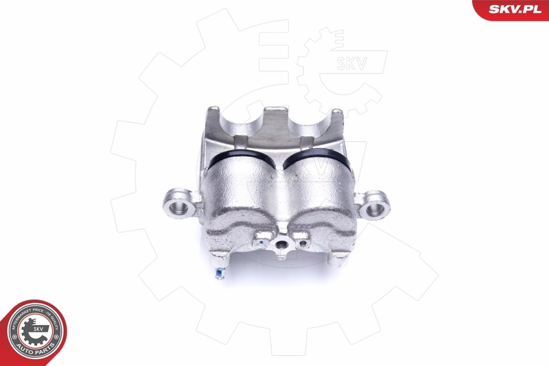 Brake Caliper 44SKV802