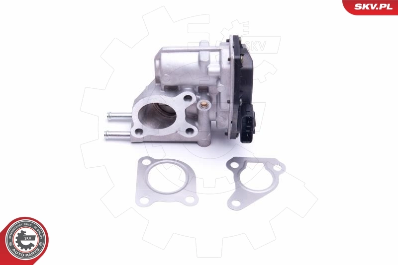 ESEN SKV 14SKV215 EGR Valve