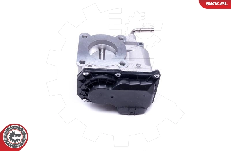Throttle Body 12SKV097