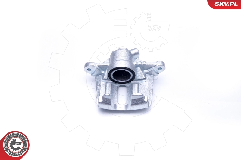 Brake Caliper 42SKV842
