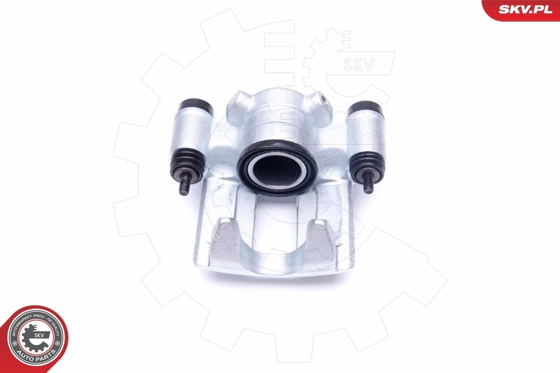Brake Caliper 42SKV894
