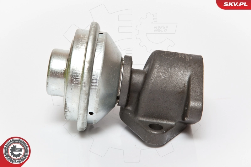 EGR Valve 14SKV051