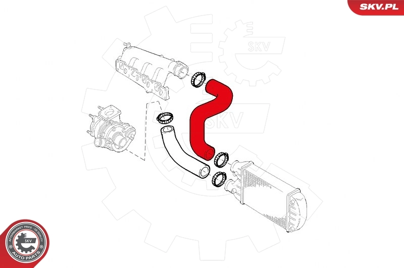 Charge Air Hose 43SKV132