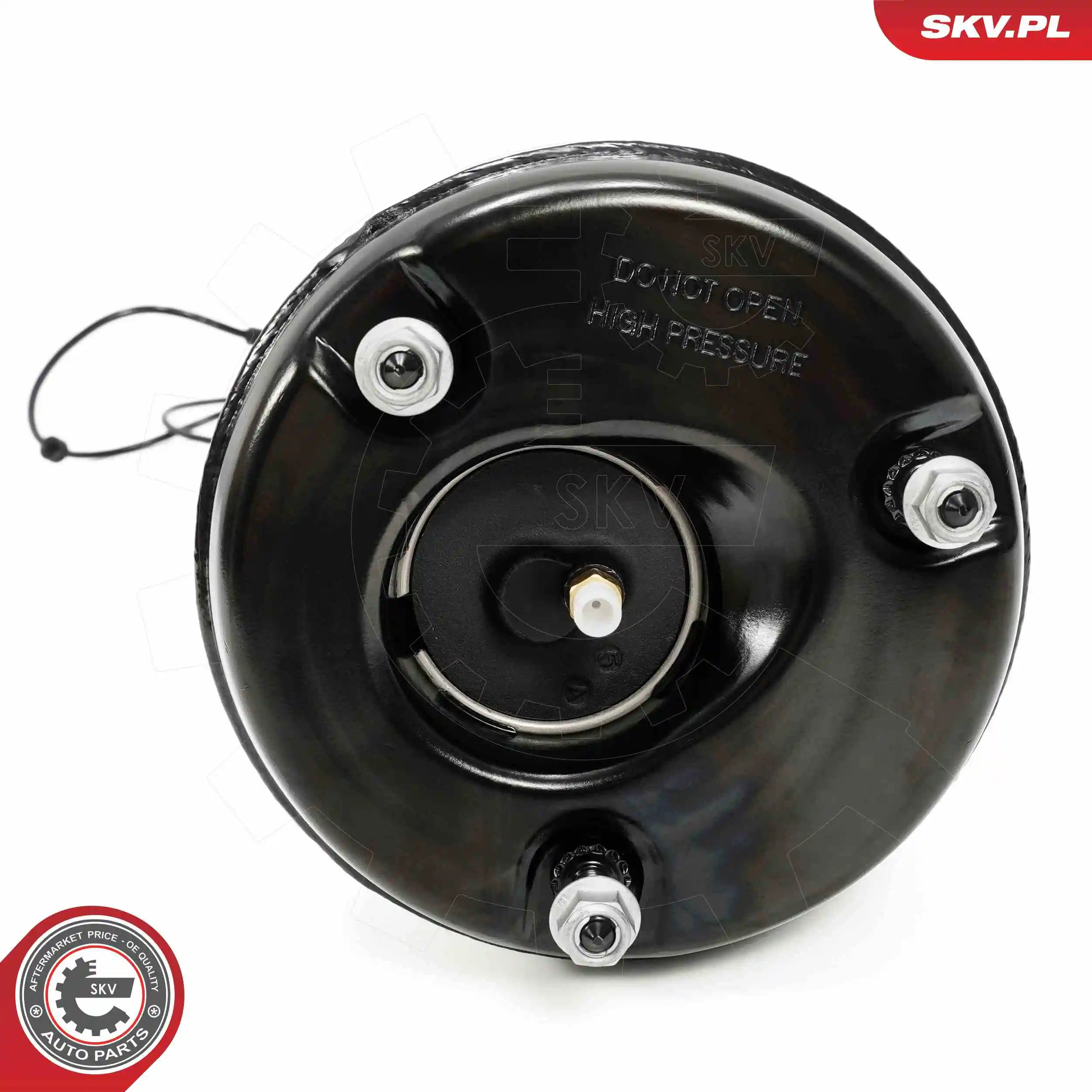 Air Suspension Strut 58SKV720