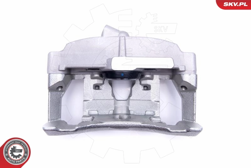 Brake Caliper 55SKV631
