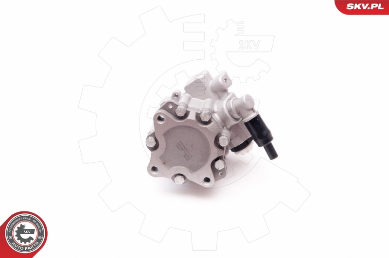 Hydraulic Pump, steering 10SKV220