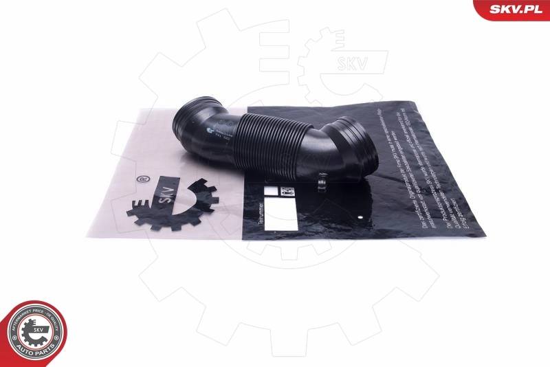 Intake Hose, air filter 54SKV184