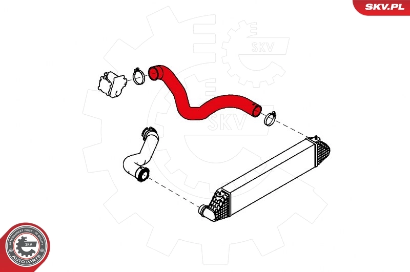 Charge Air Hose 43SKV172