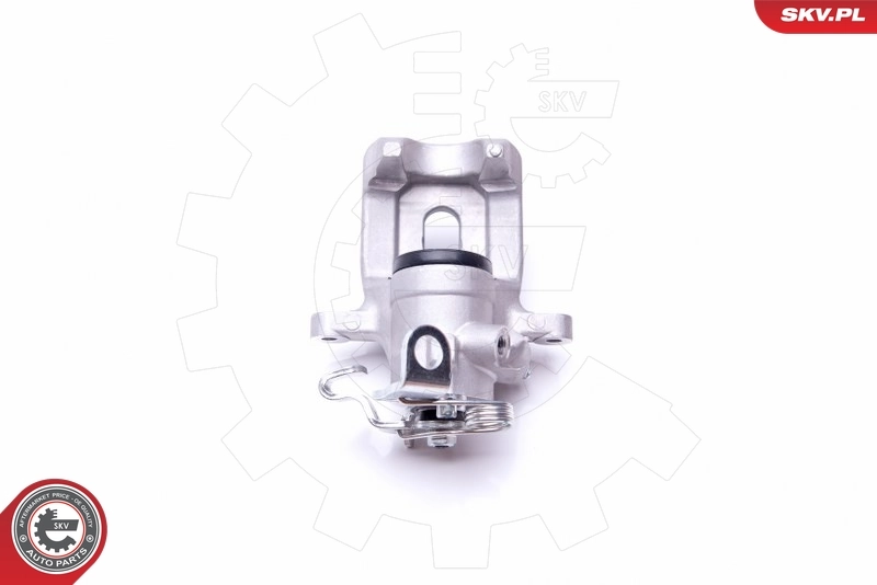 Brake Caliper 45SKV733
