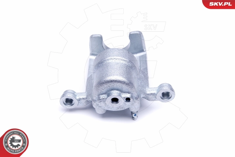 Brake Caliper 50SKV463