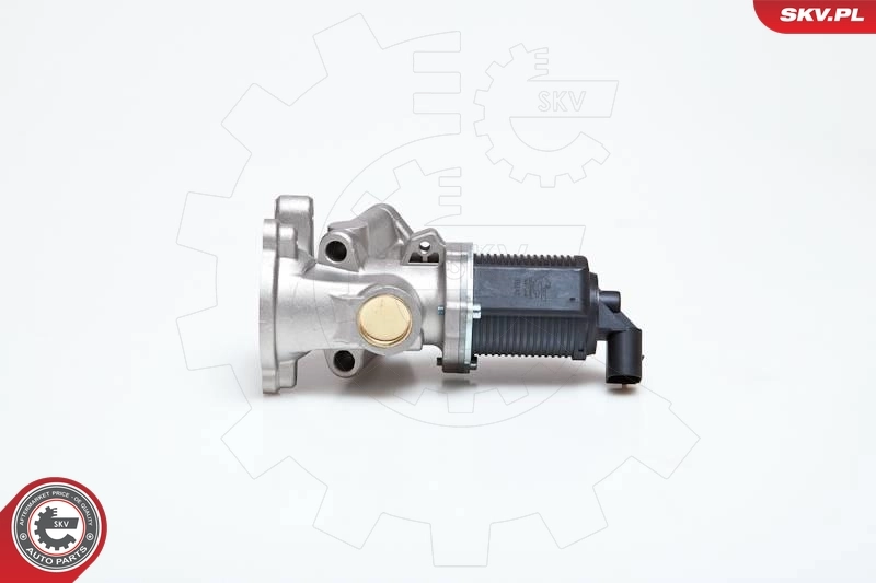 EGR Valve 14SKV040