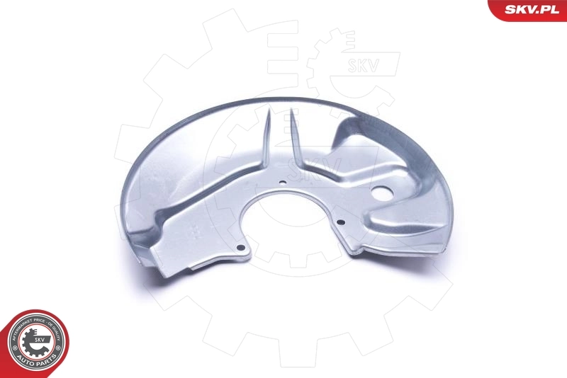 ESEN SKV 57SKV170 Splash Guard, brake disc