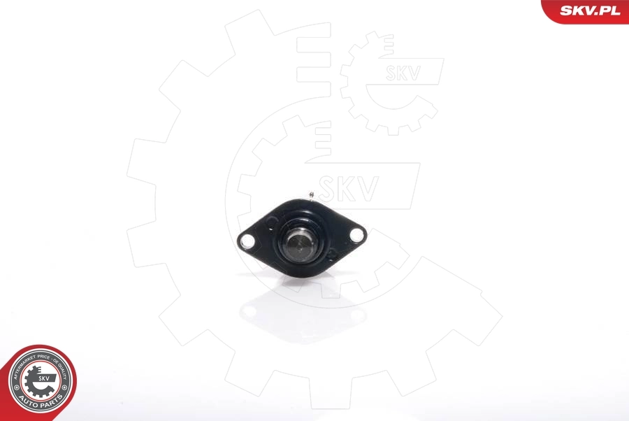 Idle Control Valve, air supply 08SKV039