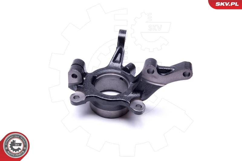 Steering Knuckle, wheel suspension 47SKV881