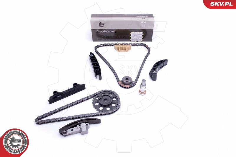 Timing Chain Kit 21SKV156