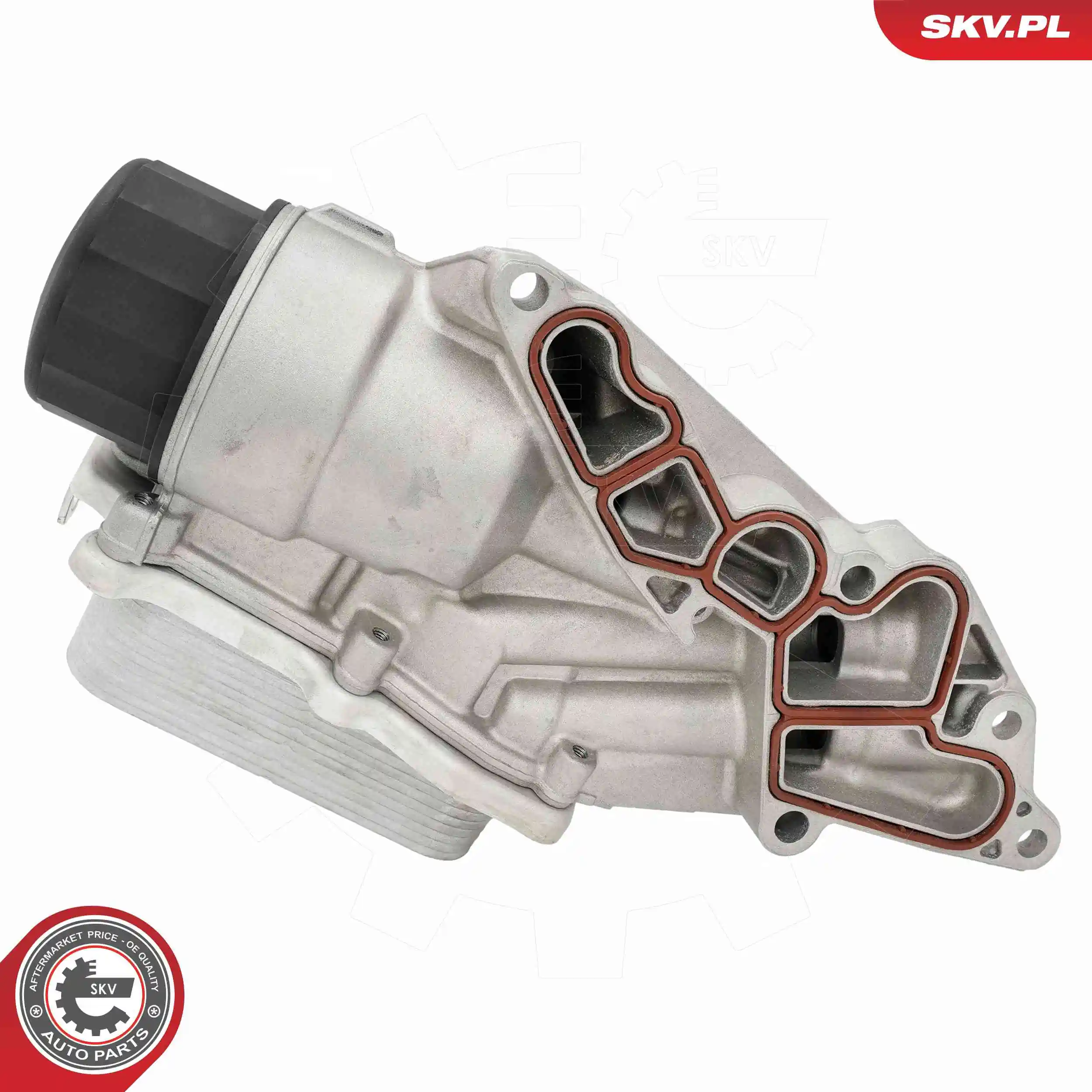 Oil Cooler, engine oil 31SKV324