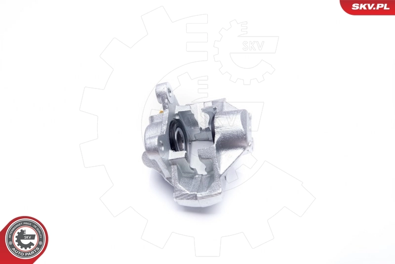 Brake Caliper 42SKV013