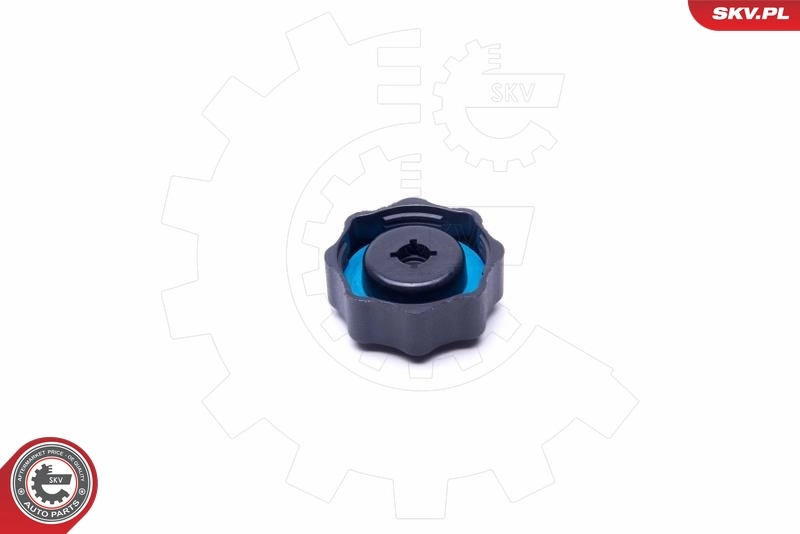 Cap, coolant tank 61SKV016