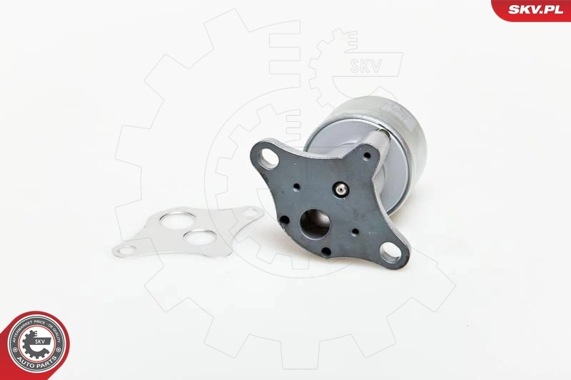 EGR Valve 14SKV037
