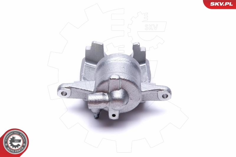 Brake Caliper 55SKV912