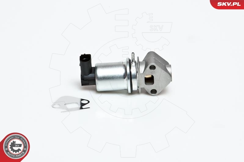 EGR Valve 14SKV007