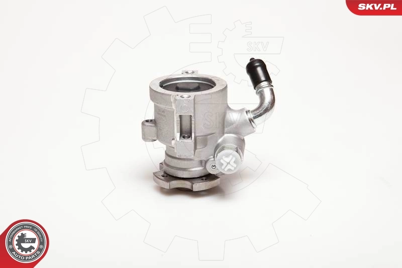 Hydraulic Pump, steering 10SKV096