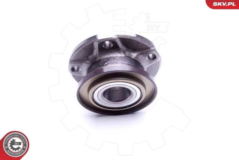 Wheel Bearing Kit 29SKV215