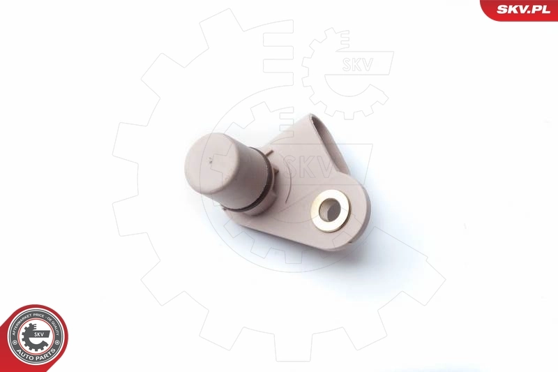 Sensor, camshaft position 17SKV246