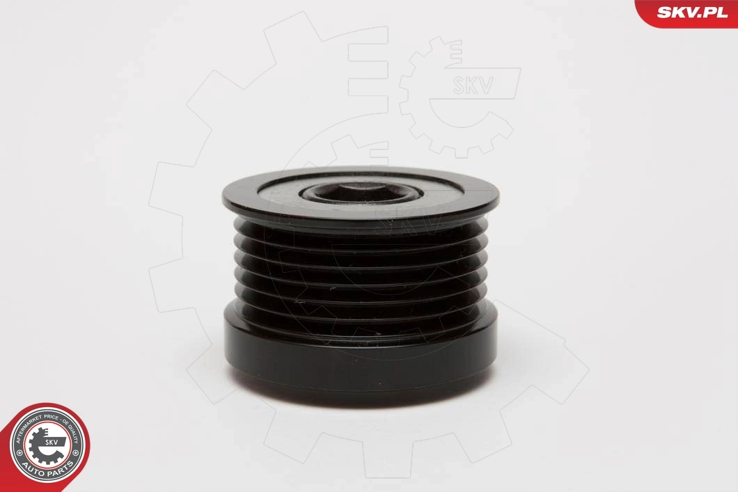ESEN SKV 11SKV060 Alternator Freewheel Clutch