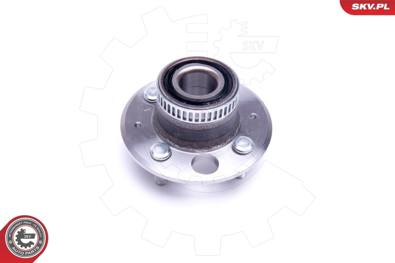 ESEN SKV 29SKV351 Wheel Bearing Kit