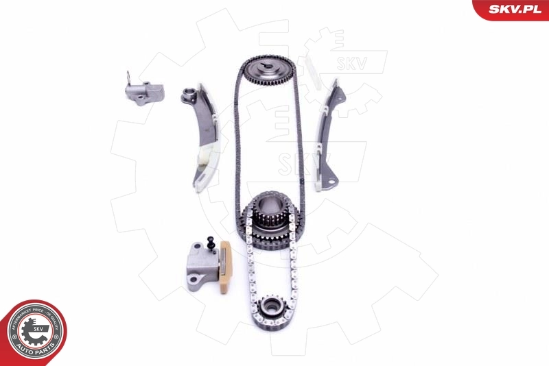 Timing Chain Kit 21SKV125